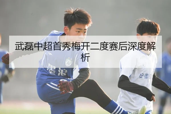 武磊中超首秀梅开二度赛后深度解析